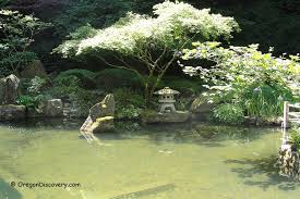 Japanese Garden In Washington Park