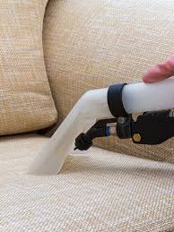 a1 budget carpet cleaning pest control
