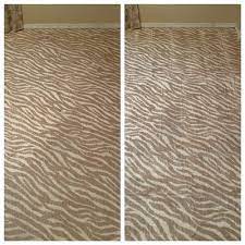 clearview carpet cleaning 3739 griffin