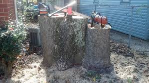 Even a pine tree with small branches can weigh over 2000 pounds and cause serious damage if it falls on a building or a vehicle. Tree Service Augusta Ga Tree Removal Amp Land Clearing Stump Removal