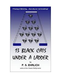 13 black cats under a ladder skeeter