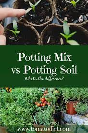 potting mix vs potting soil which