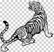 white tiger drawing black and white