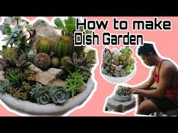 How To Make Dish Garden Easy Dish