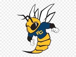 Charlotte hornets logo, blue, svg. Vector Transparent Stock Hornet Clipart Buzzy Fullerton College Hornets Logo Png Download 823503 Pinclipart