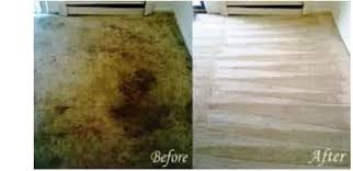 dirty carpet health risk dust mites