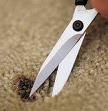 It could burn the surface. How To Repair A Burn Mark From Carpet The Easy Method