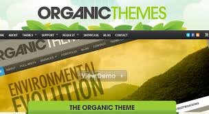 Organic Theme Magdalene Project Org