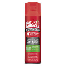 advanced stain and odor eliminator