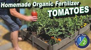easy homemade organic fertilizer for