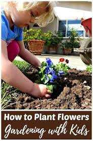 Plant Flowers Organic Gardening With Kids