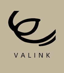 Amazon.com: VALINK