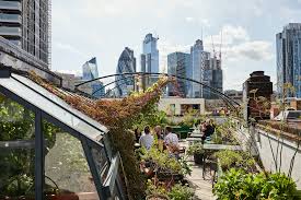 11 best rooftop restaurants in london