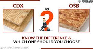 cdx vs osb know the difference which