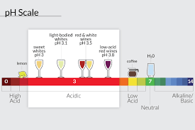 What Is Acidity In Wine Wine Enthusiast
