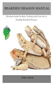 Care For A Healthy Bearded Dragon