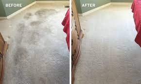 why carpet smells after carpet cleaning