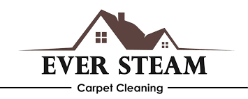 expert stain odor removal services