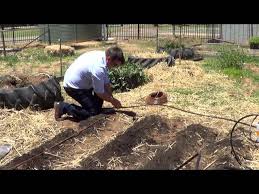 Vegetable Garden Drip Kit