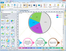 Pie Chart Charts And Graphs Solutions