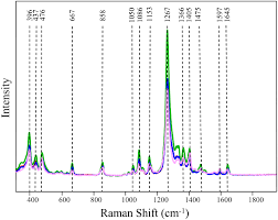 surface enhanced raman spectroscopy is