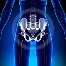 pelvic floor physiotherapy vancouver