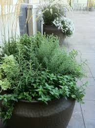 Herb Pots Garden Containers