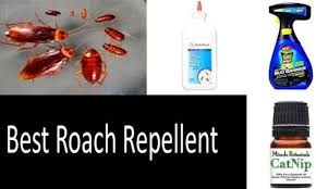 Often the issue with cockroaches not taking bait or accepting bait is poor application techniques such as placing bait in the wrong place, poor. Best Roach Repellents 2021 True Or False Buyer S Guide
