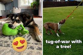 29 best interactive dog toys for pups