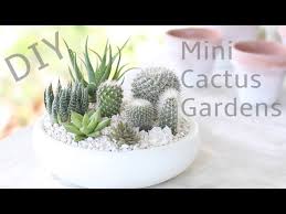 Diy Mini Cactus Gardens You