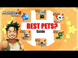 maplestory r best pets in game guide