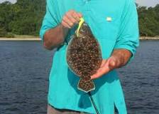 Are flounder hard to catch?