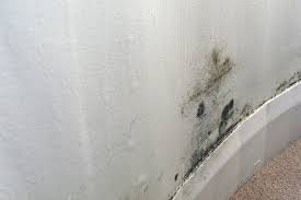 How Can I Get Rid Of Mould Permanently