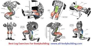 Leg Exercises For Bodybuilding Best Leg Workout Leg