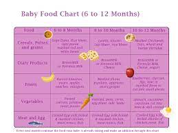 food chart for stani es happy