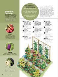 Veggie Garden Layout