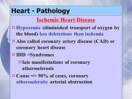 After viral entry, virus replication leads to. Myocardial Infarction Ppt Video Online Download