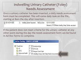 Ppt Catheter Associated Urinary Tract Infection Cauti A