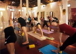 teacher training purple valley yoga