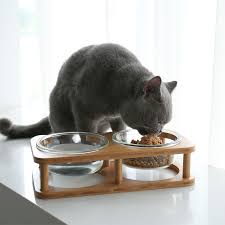 cat dog glass bowl water food raised