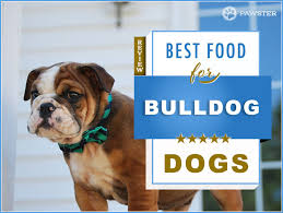 Here we review the top 3 best dry dog food for english bulldogs. 8 Best Dog Foods For Bulldogs In 2021 Helpful Bulldog Nutritional Tips And Info