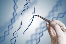 Genetic engineering to cure diseases - e-Zyvec
