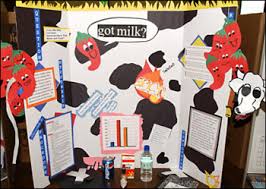 Zoology Science Fair Project Ideas