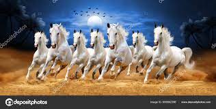 seven horses stock photos royalty free