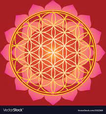 sacred geometry flower of life mandala