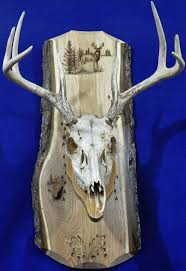Deer Hunting European Mount Plaque