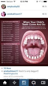 Teeth Growth Chart Healthy Mind Oral Health Health Wellness