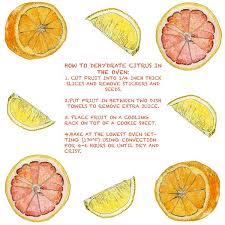 diy dehydrated citrus for potpourri and