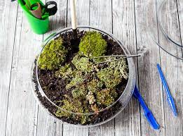 Create An Indoor Moss Garden Natural