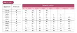 Bra Size Chart India Explore The List Of Bra Sizes Clovia